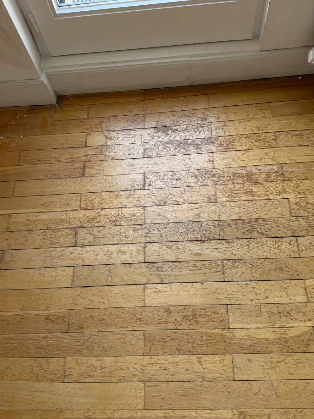 Nahaufnahme eines Holzfußbodens vor einer weißen Tür mit deutlichen Kratzern und Gebrauchsspuren.